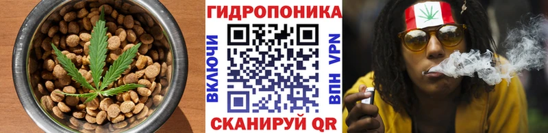 Еда ТГК конопля  Купить где  Энем 