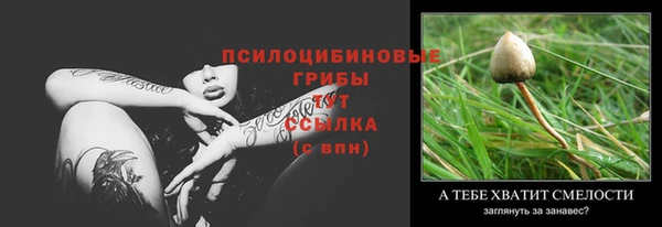 амф Пересвет