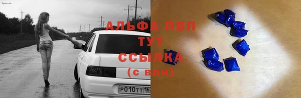 амф Пересвет