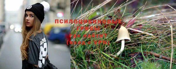 гашик Переславль-Залесский