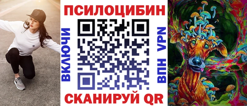 Купить  Энем  Псилоцибиновые грибы мицелий 